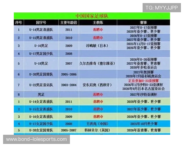 中国足球历史球星排名分析及其影响力探讨 中国足球历史球星排名分析及其影响力探讨